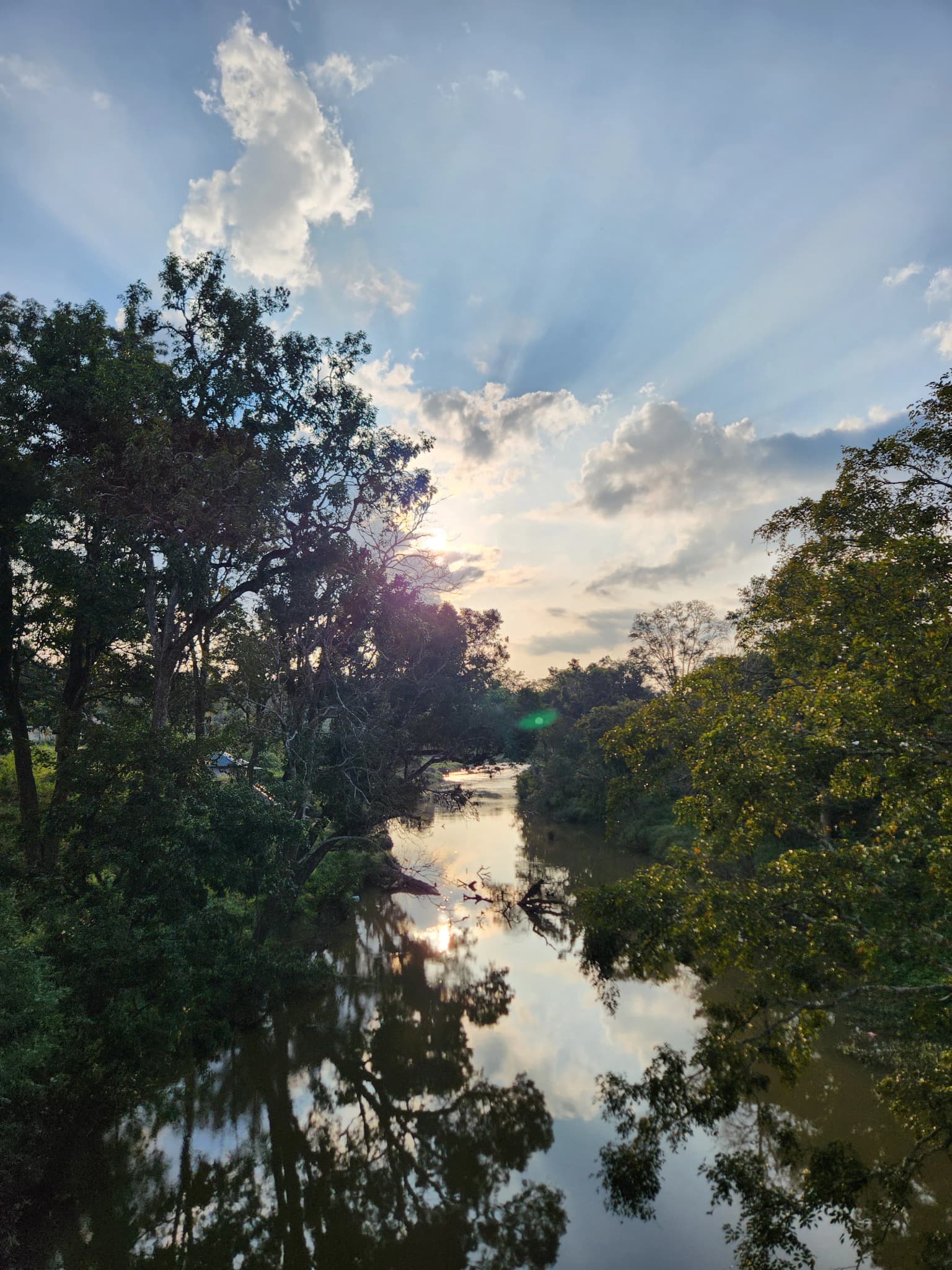 Theppakadu Elephant Camp