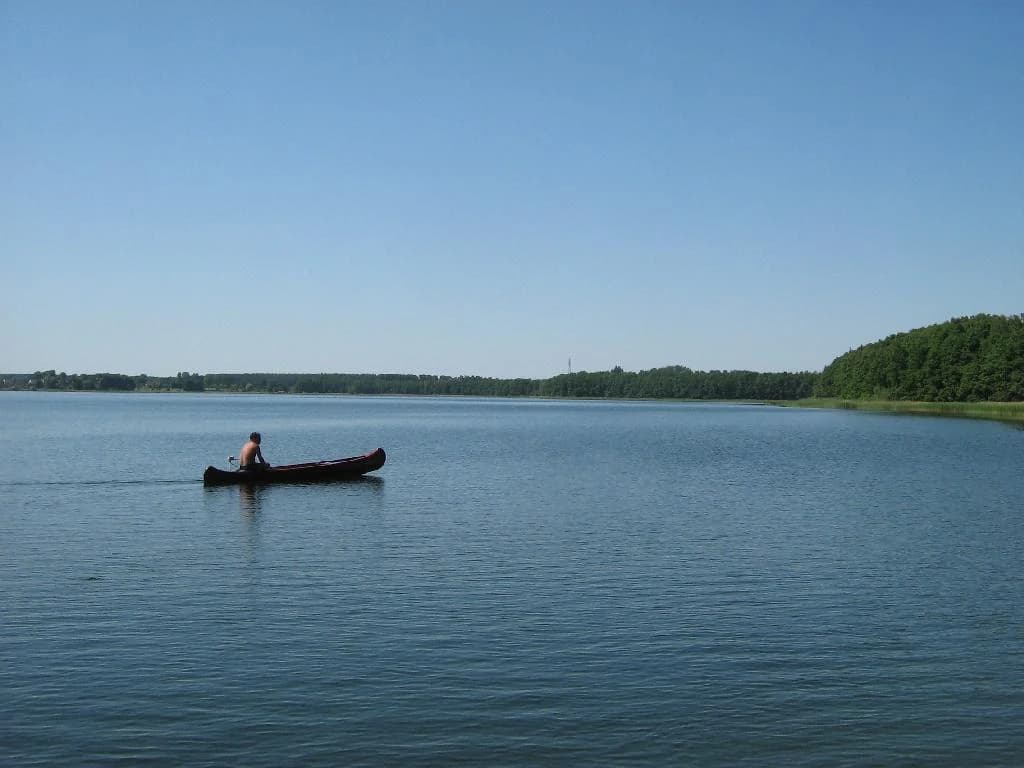 A person paddling a canoe on a calm lake with forested shoreline under a clear blue sky