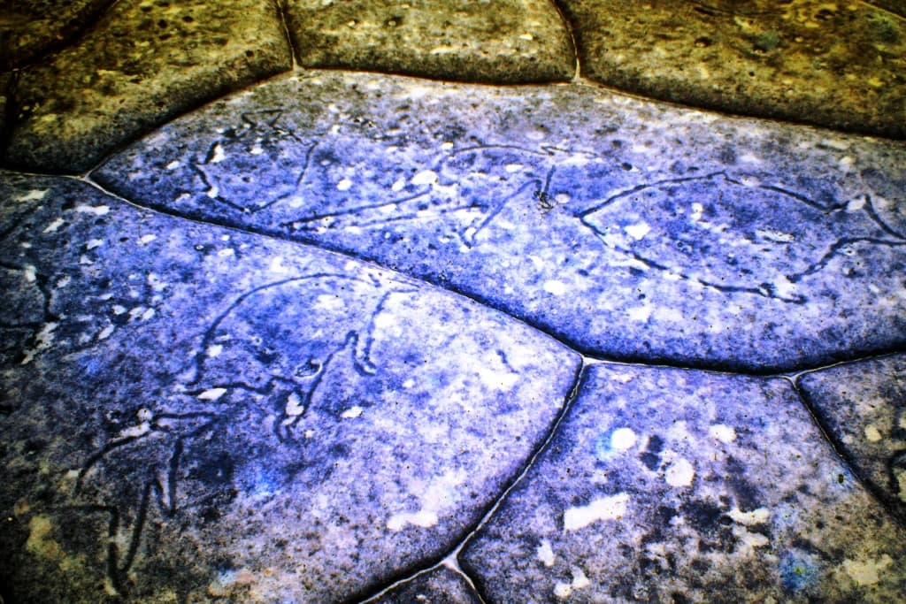 Primer plano de una superficie rocosa con grabados de canguros y otras figuras