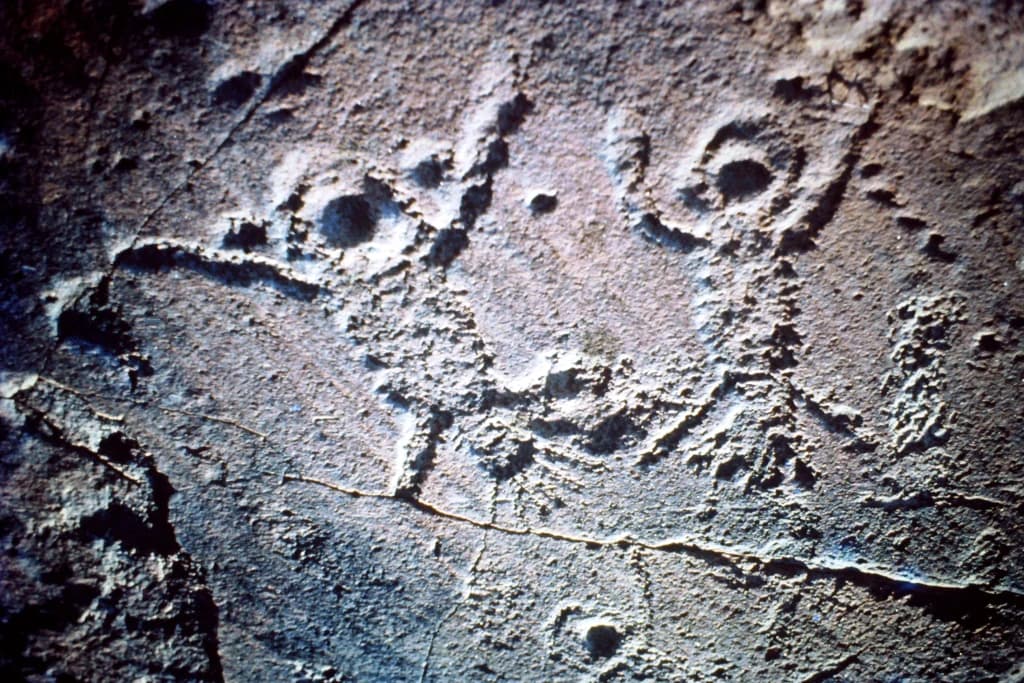 Primer plano de una superficie rocosa con figuras humanas incisas y motivos circulares