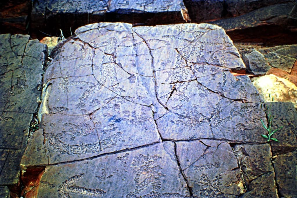 Primer plano de grabados rupestres antiguos en una superficie de piedra que muestran tallas detalladas y textura natural de la roca