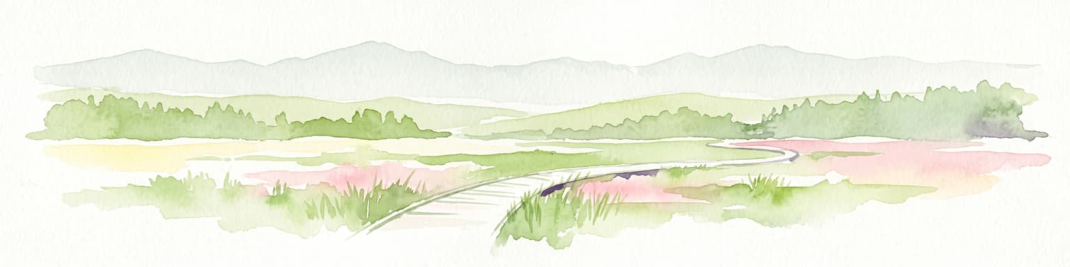 Una ilustración horizontal en acuarela que muestra una pasarela de madera serpenteando a través de un paisaje verde y pantanoso con suaves colinas al fondo.
