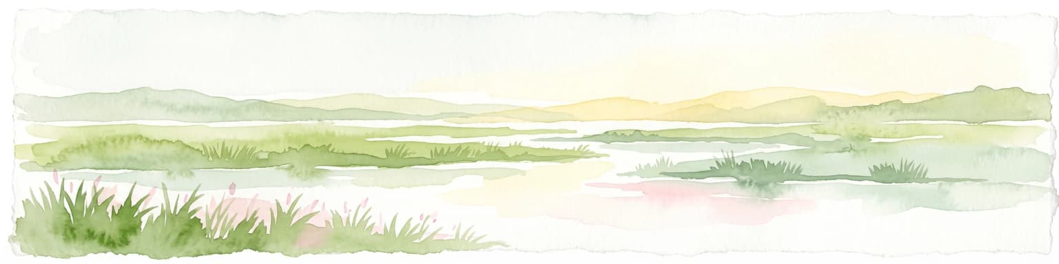Una ilustración en acuarela de un paisaje suave y brumoso con humedales herbáceos en primer plano, canales de agua y colinas onduladas al fondo.