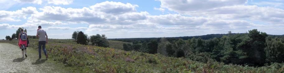 Two hikers walking on a path through heathland with forest in the background under a partly cloudy sky