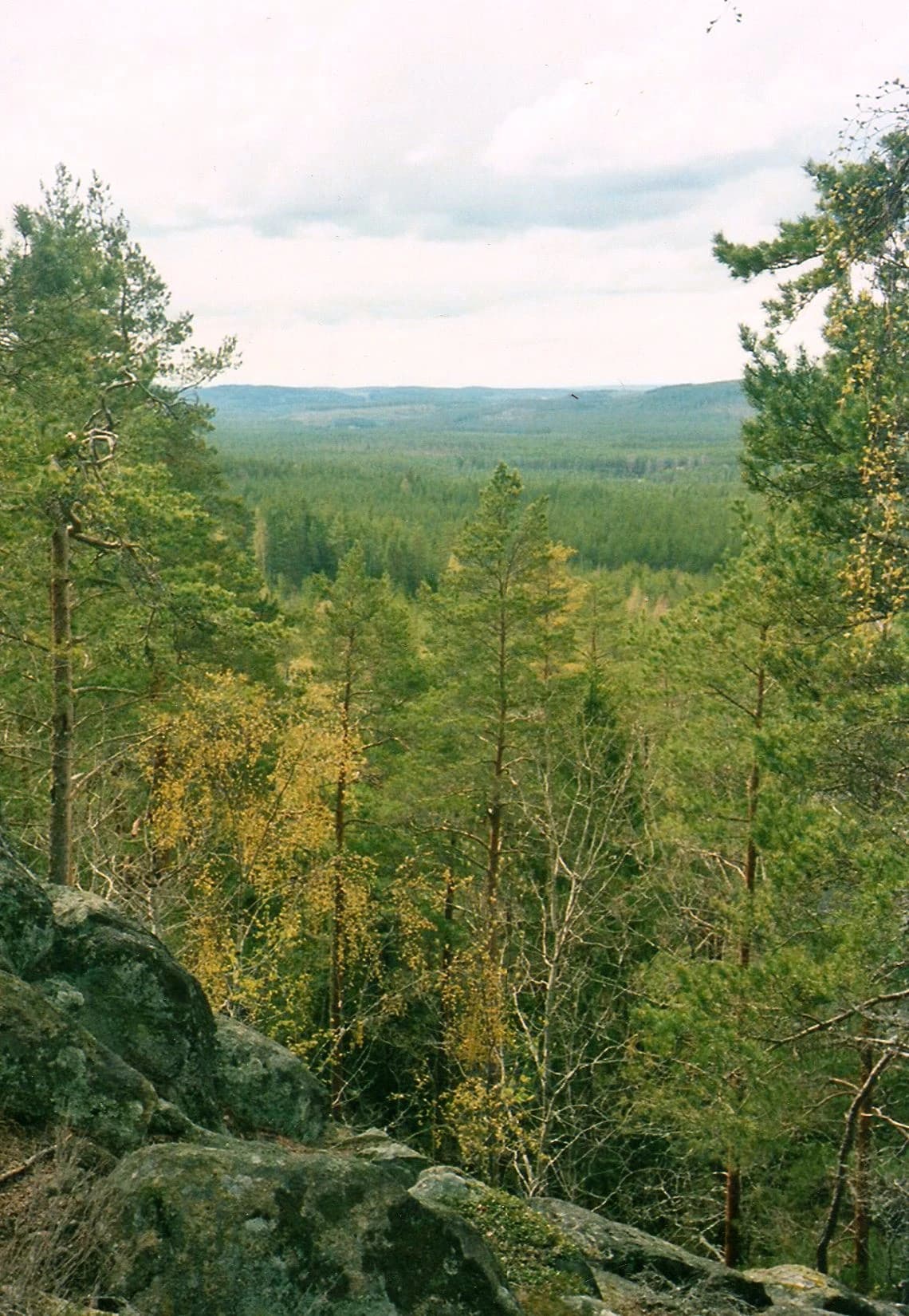 Green forest landscape with rocky foreground and distant hills under cloudy sky