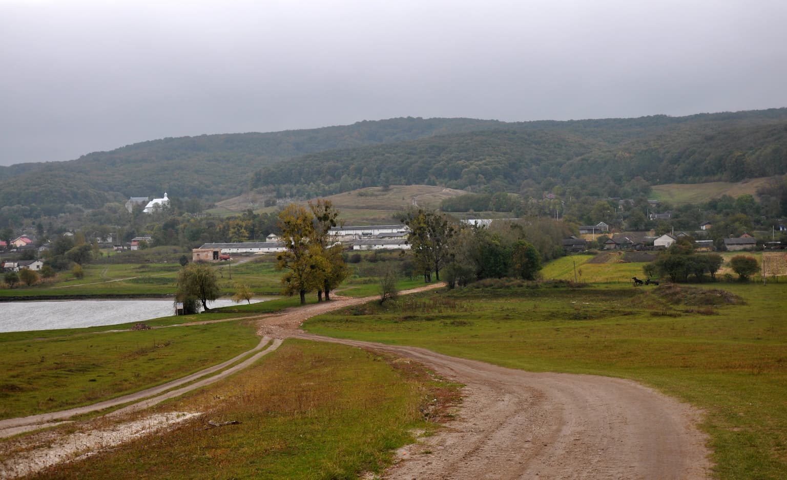 Grassy field with a dirt road curving through it, a body of water on the left, scattered trees, and distant hills under an overcast sky