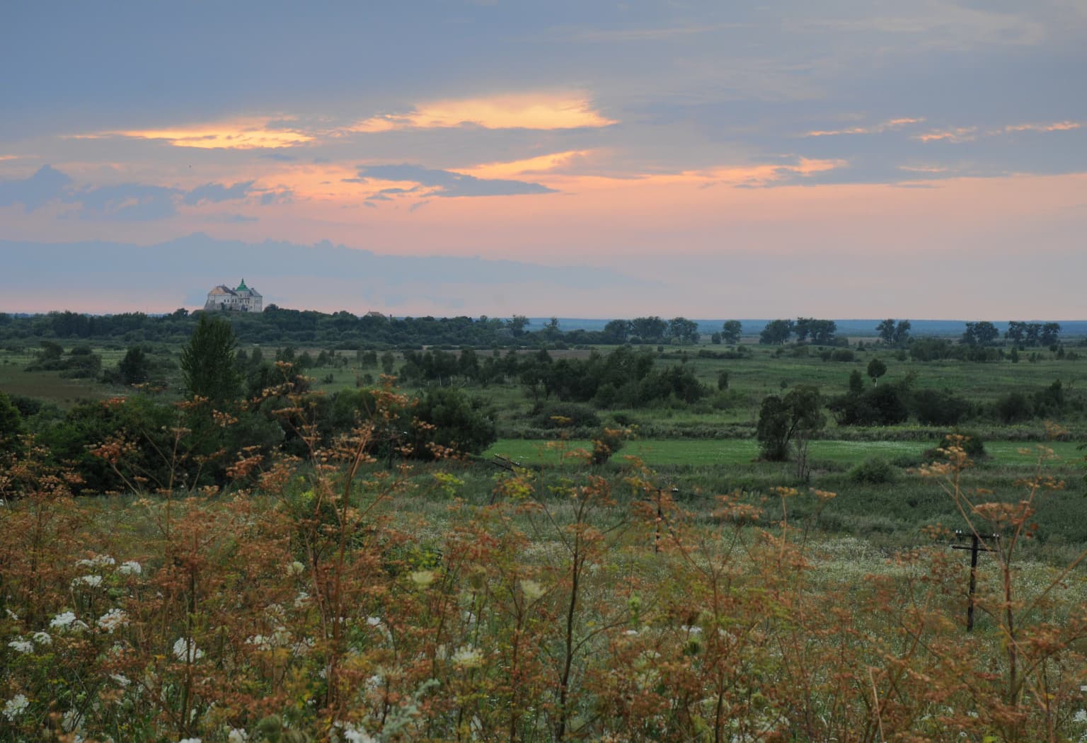 Wide landscape view at sunset showing meadow with wildflowers in foreground, grassy fields extending to trees and distant castle structure under partly cloudy sky
