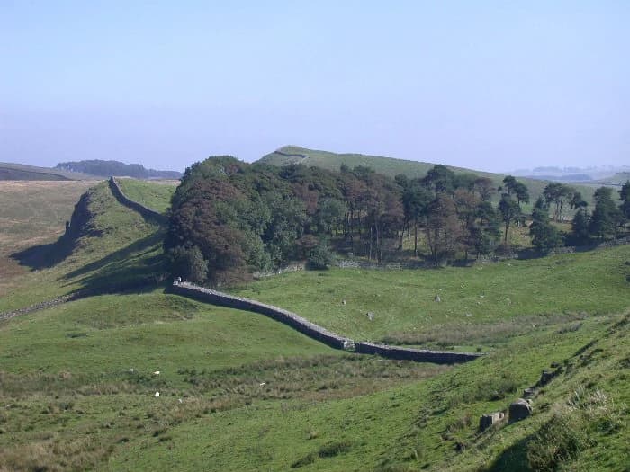 Stone wall traversing grassy hillside with trees and distant hills under clear sky