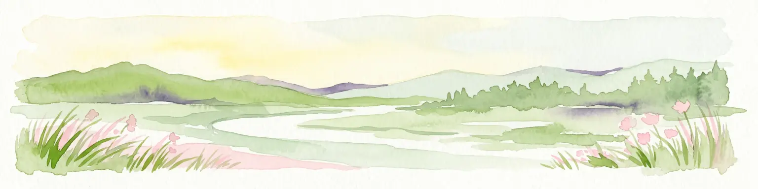 Una pintura a la acuarela que muestra una vista panorámica de un exuberante paisaje de humedal con suaves colinas verdes en la distancia, un arroyo serpenteante y hierbas altas y flores silvestres rosadas en primer plano.