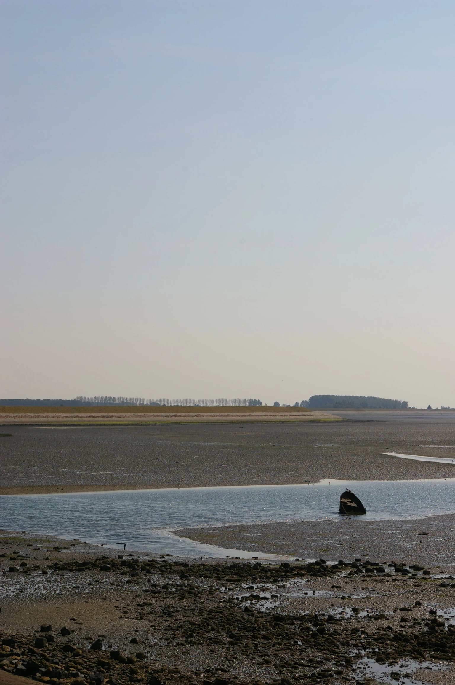 Wide coastal landscape featuring the Oosterschelde estuary with tidal mudflats, shallow water channels, and a distant tree line under a clear sky