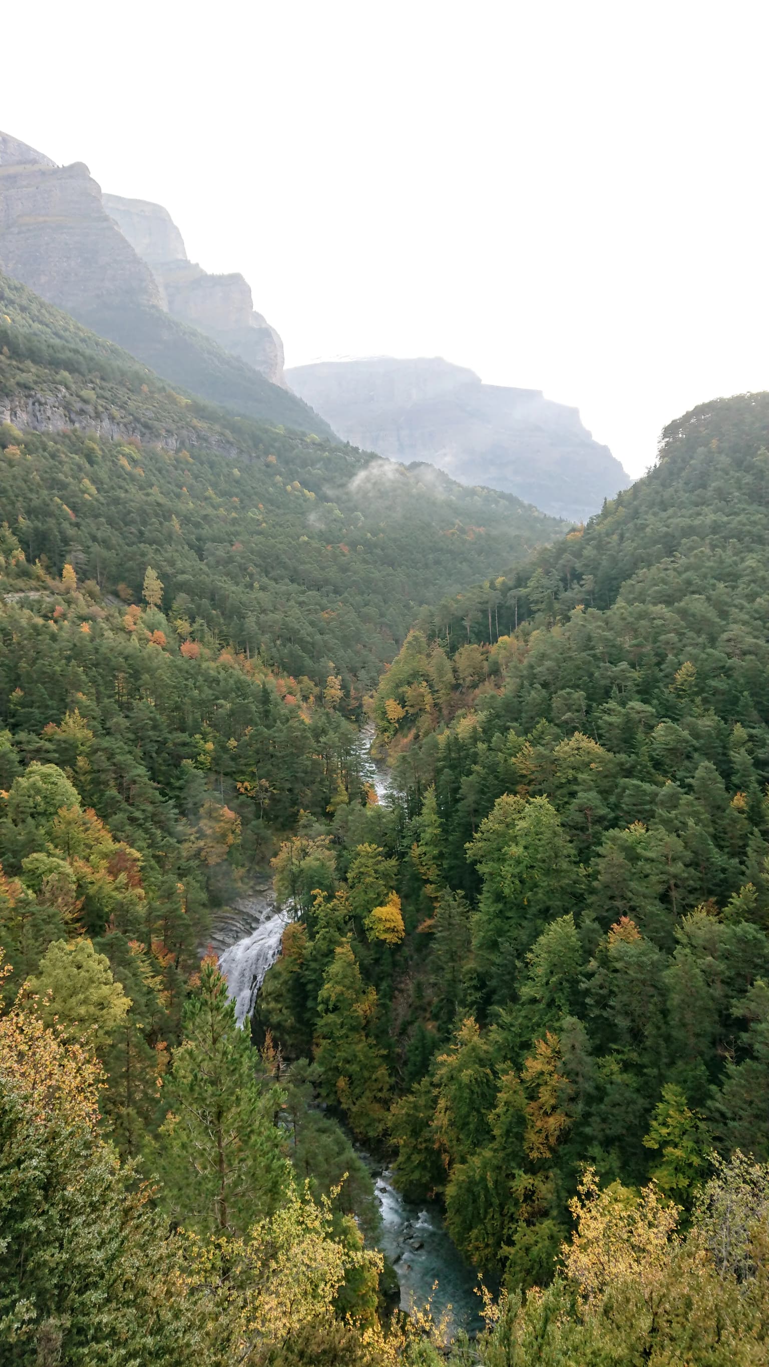 River flowing through a forested valley with mountainous backdrop and rocky cliffs.