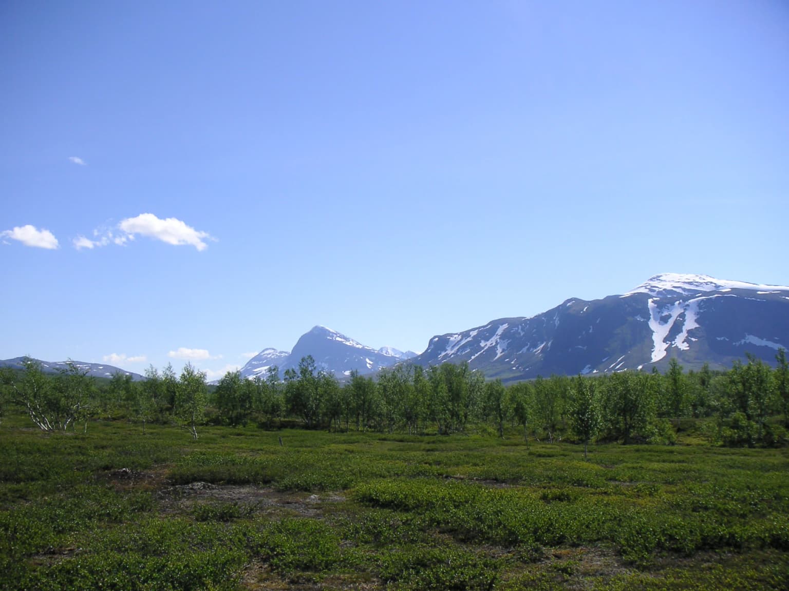 Snow-capped mountains with green vegetation in foreground under clear blue sky