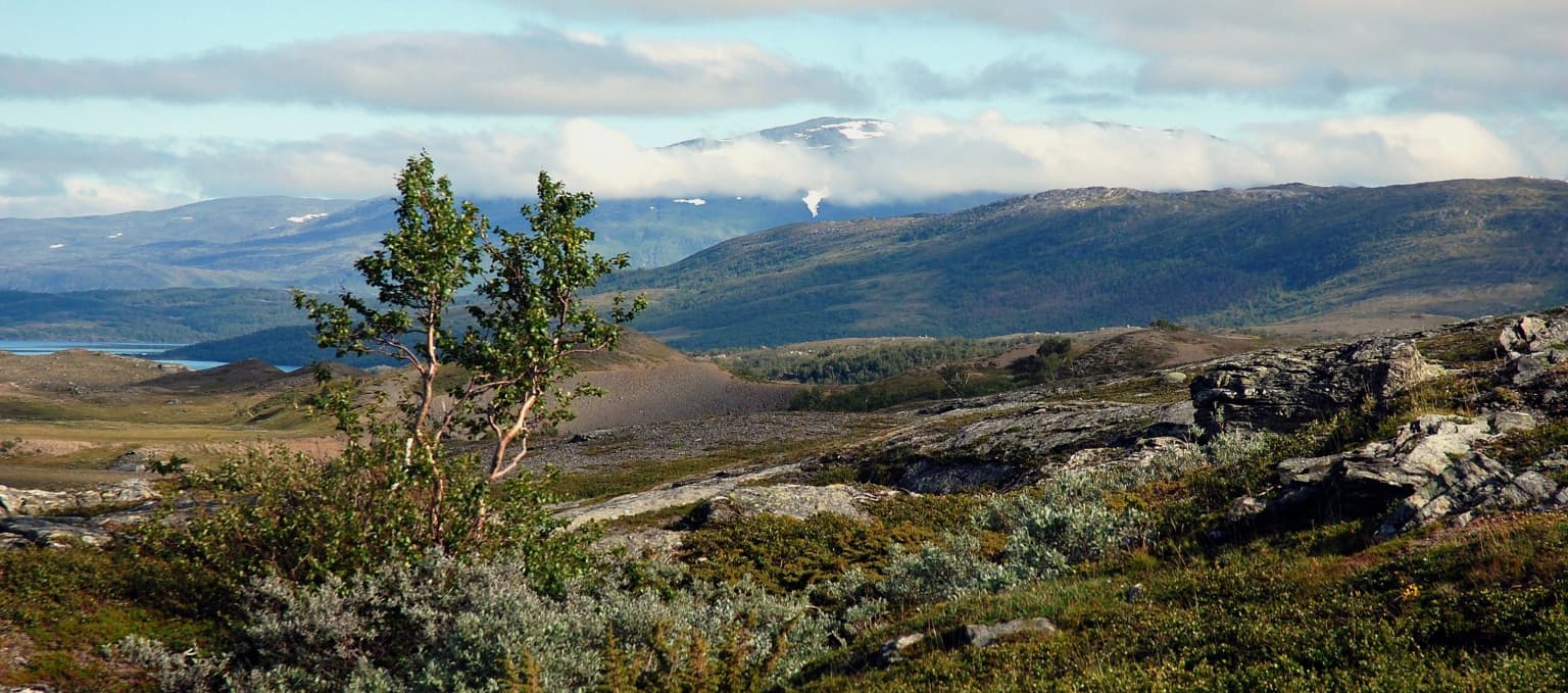 Rocky hills, sparse vegetation, and distant mountains under a partly cloudy sky