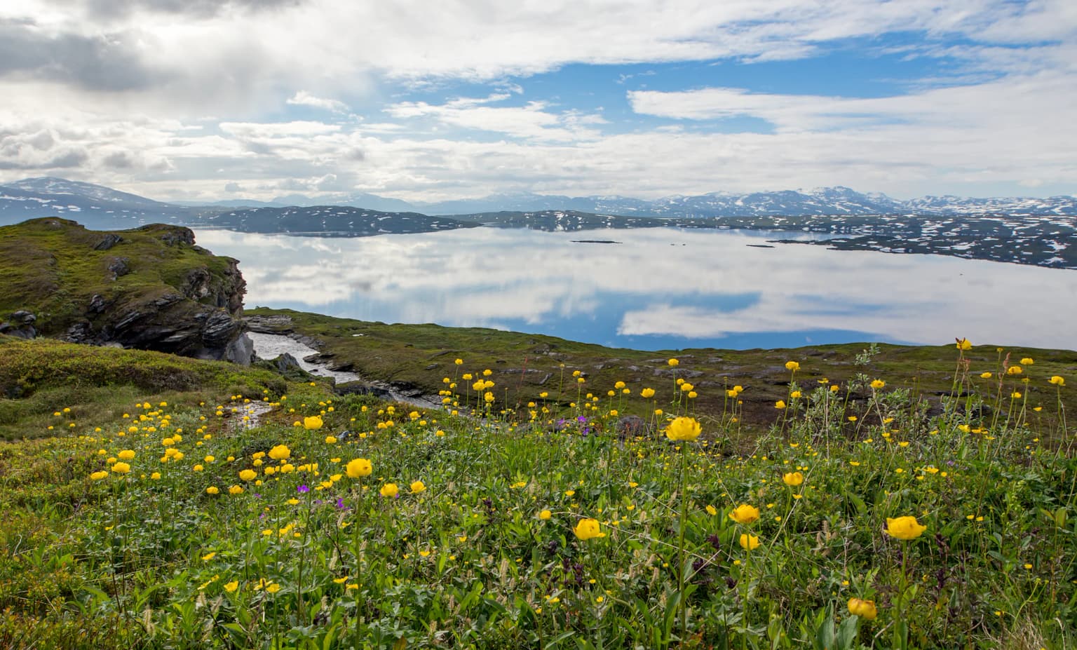 Grassy hillside with yellow wildflowers overlooking a lake, snow-capped mountains in the background under a partly cloudy sky