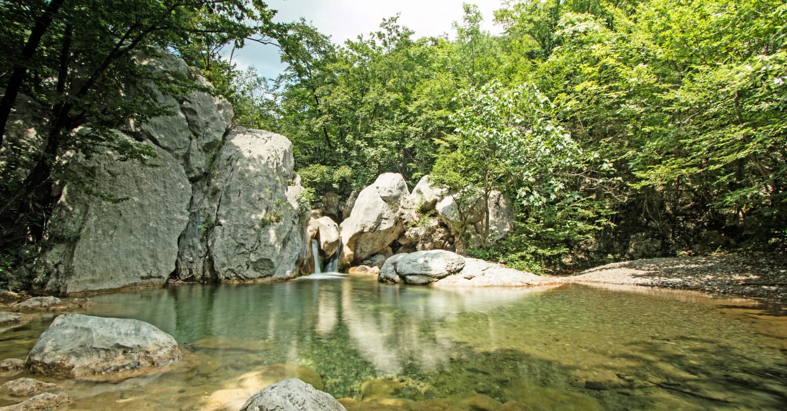 Clear water pool with small waterfall between large rocks surrounded by dense green forest