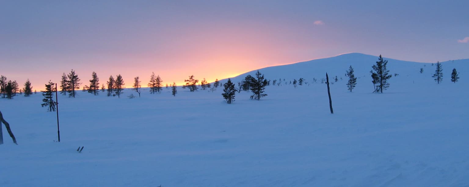 Snow-covered landscape with scattered coniferous trees and a distant fell under a purple and orange sky