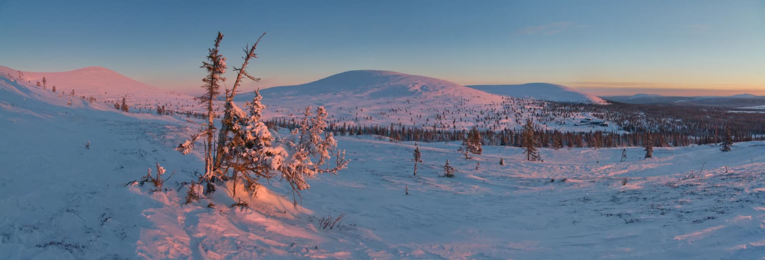 Snow-covered landscape with sparse trees, distant mountains, and sunset sky in Pallas-Yllästunturi National Park