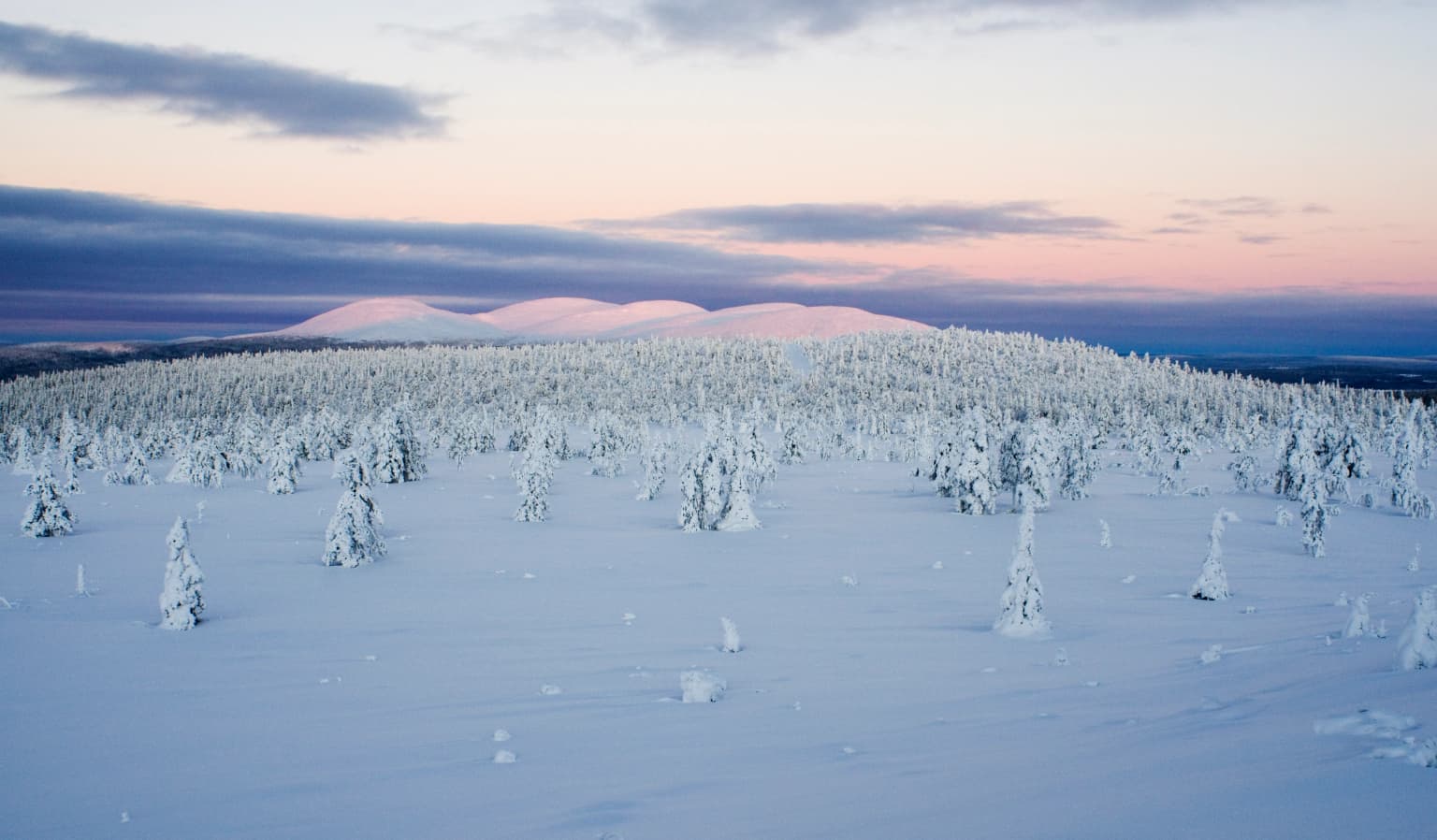 Snow-covered trees and hills under a partly cloudy sky with pink and blue hues
