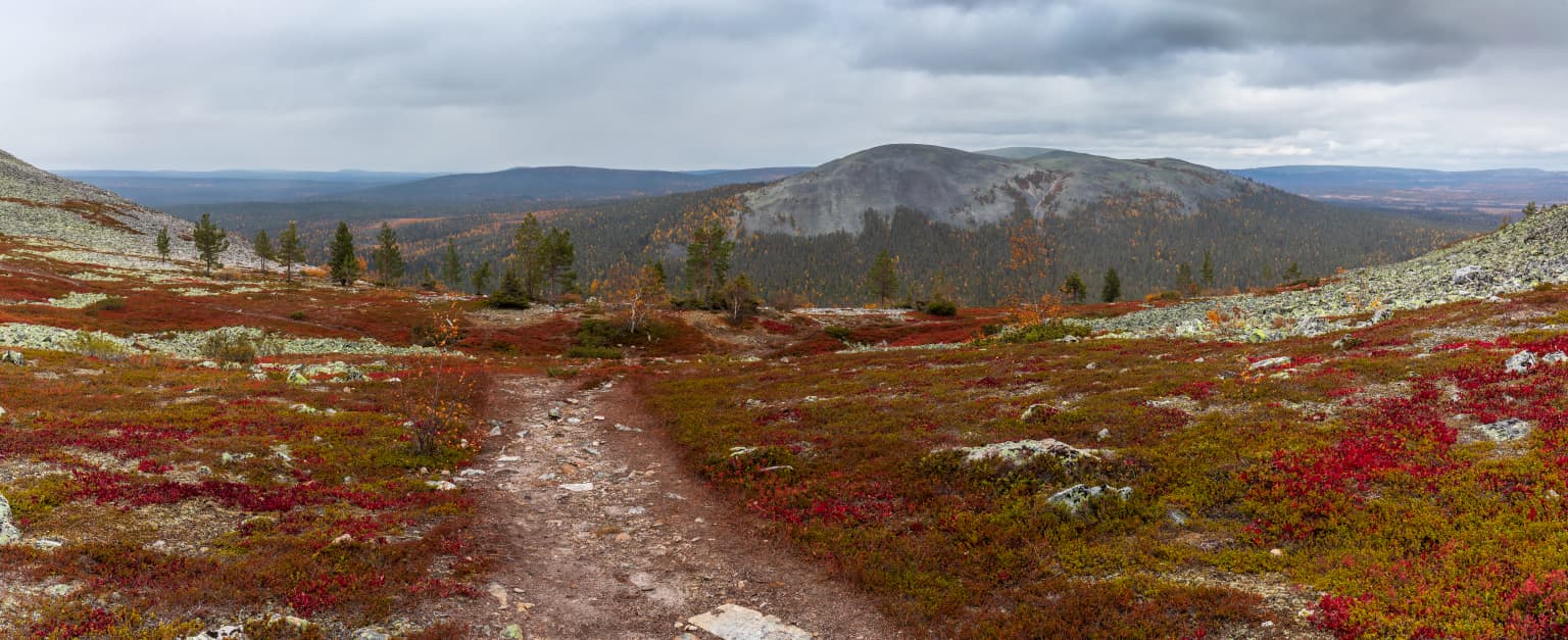 A dirt trail winding through a landscape with red and orange autumn foliage, leading towards distant mountains under a cloudy sky