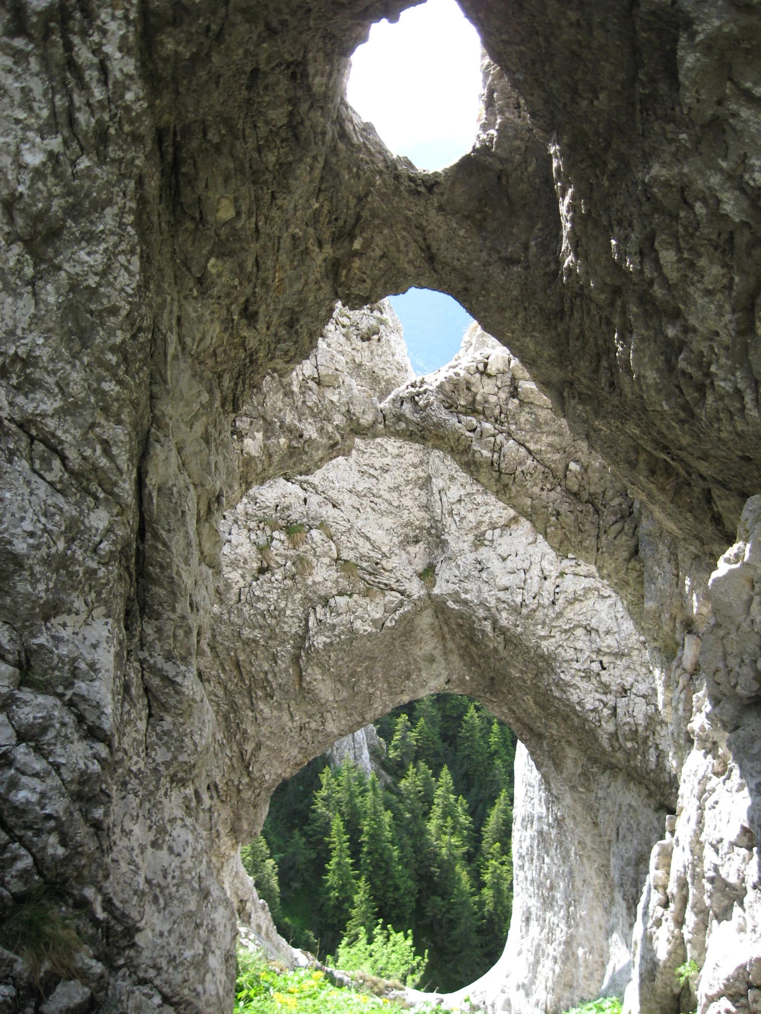 Rock arch formation with multiple openings, revealing forested valley and sky through the stone