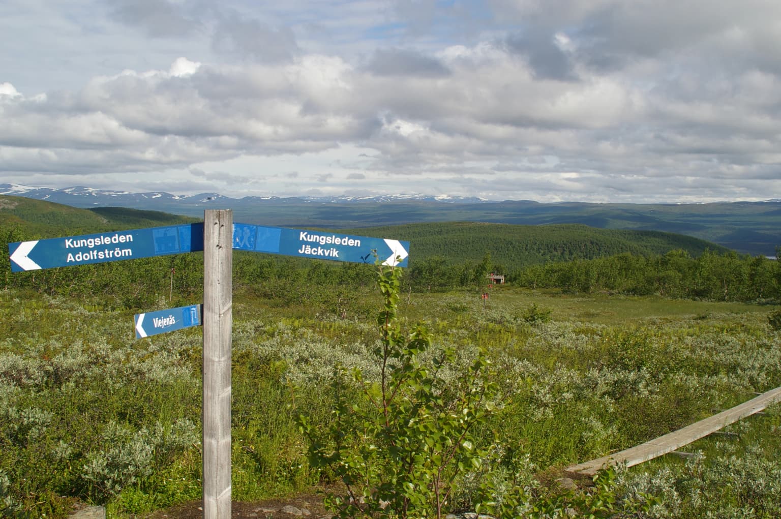 Blue signpost with white text and arrows indicating trail directions in Pieljekaise National Park, surrounded by green vegetation and distant mountains under a cloudy sky