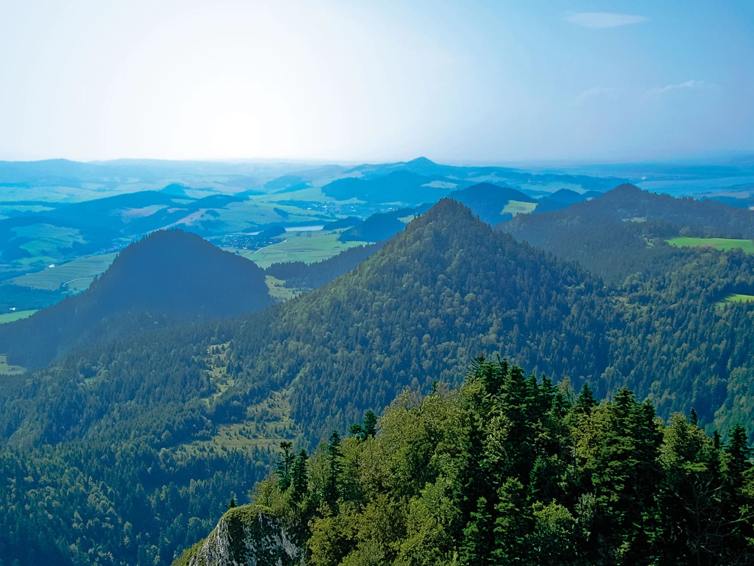 Panoramic view of forested mountains and valleys under a clear sky