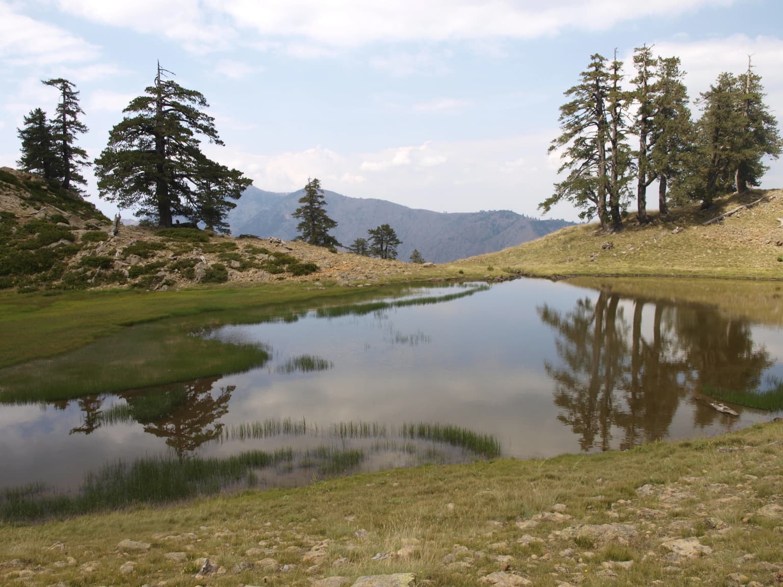 A calm lake surrounded by grassy terrain with tall trees and mountain peaks in the background