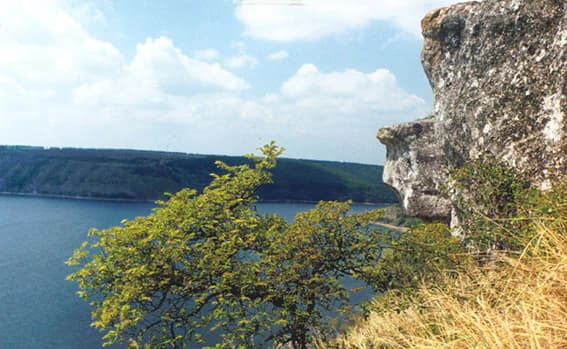 Rocky cliff face with vegetation overlooking a wide river and distant forested hills under a partly cloudy sky