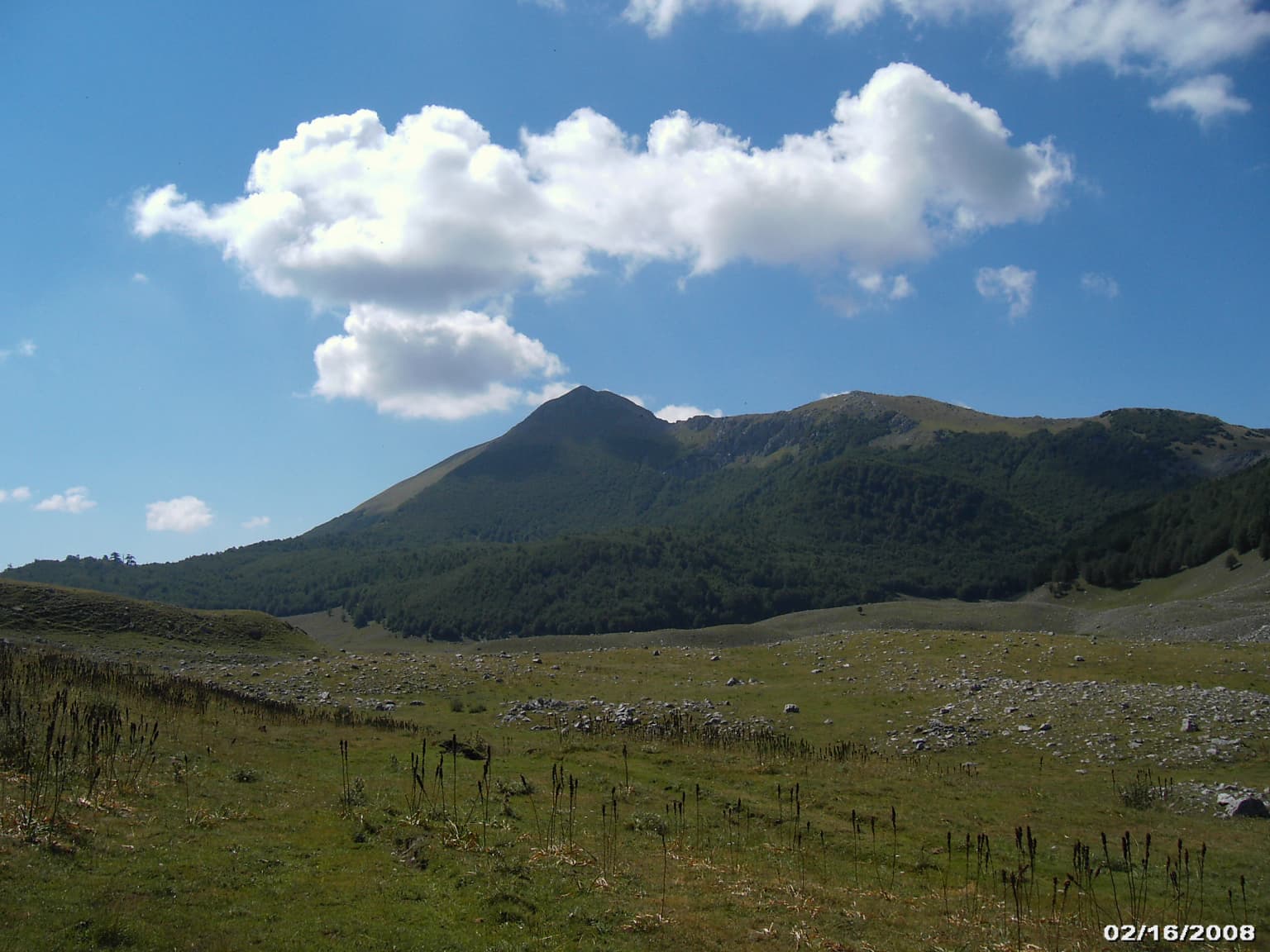 Grassy field with scattered rocks leading to a mountain range under a partly cloudy sky