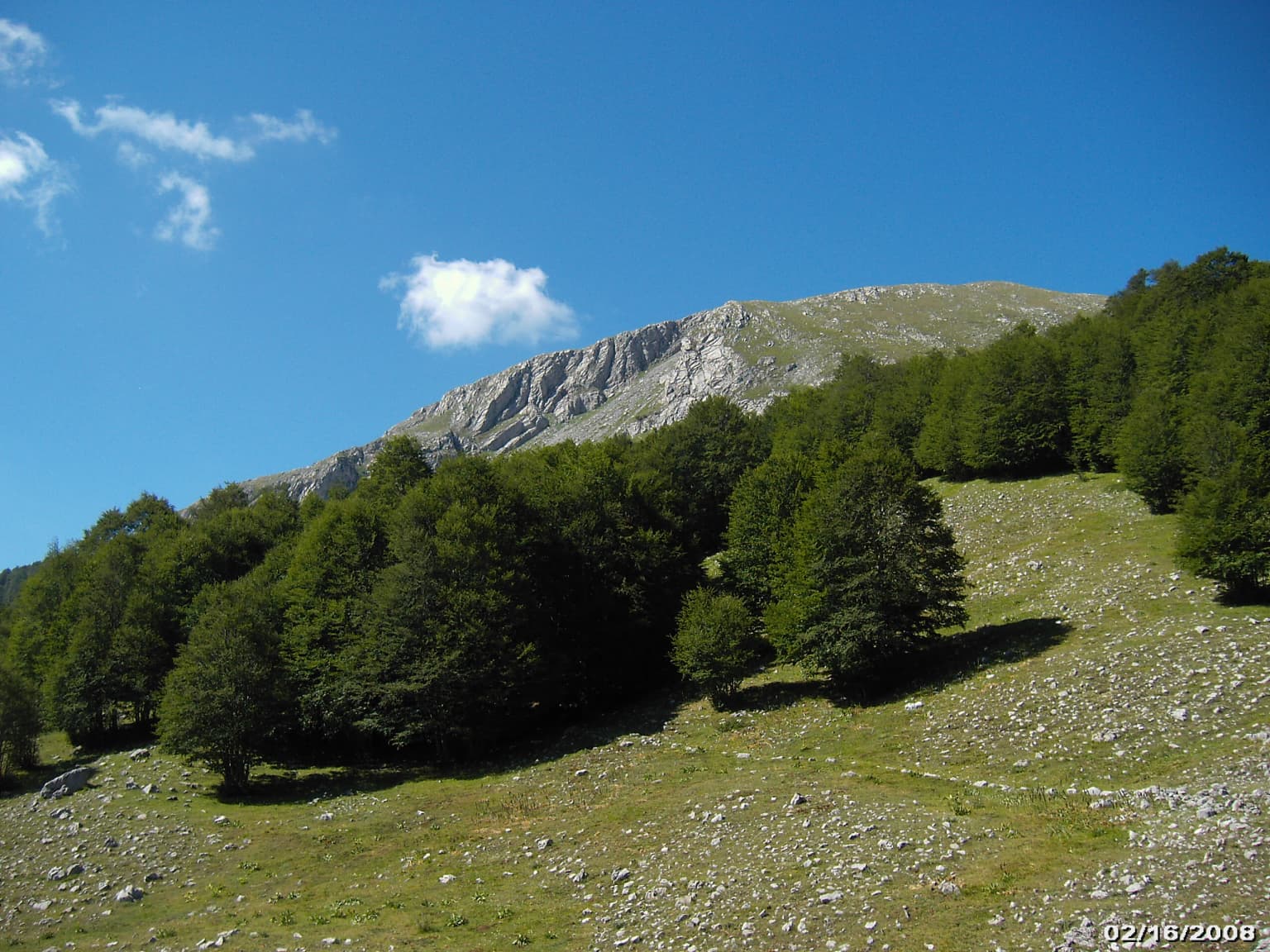Grassy slope with scattered trees and rocky terrain leading up to Mount Pollino under a clear blue sky