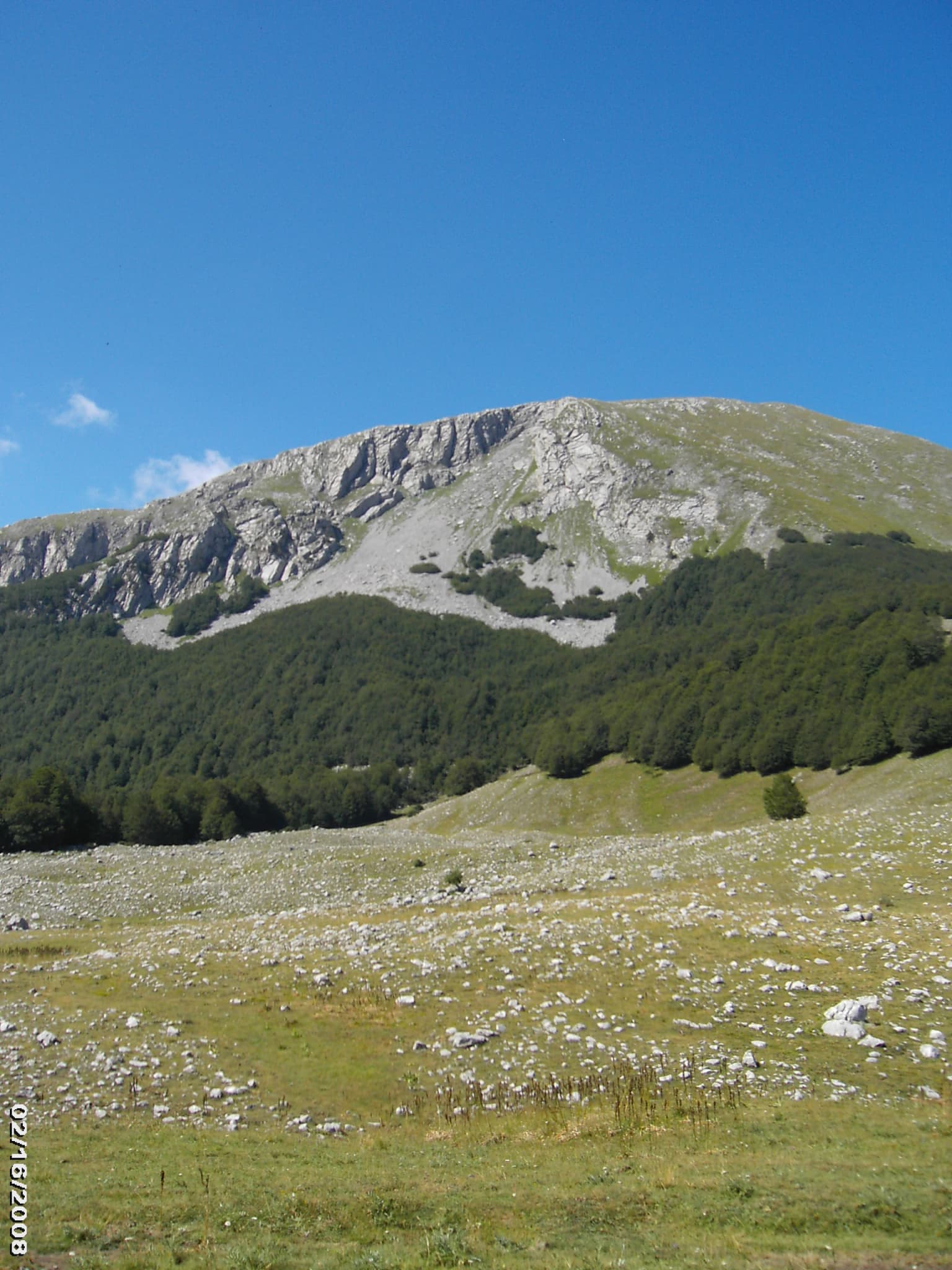 Grassy field with scattered rocks leading to a large mountain with rocky upper slopes and forested lower slopes under a clear blue sky