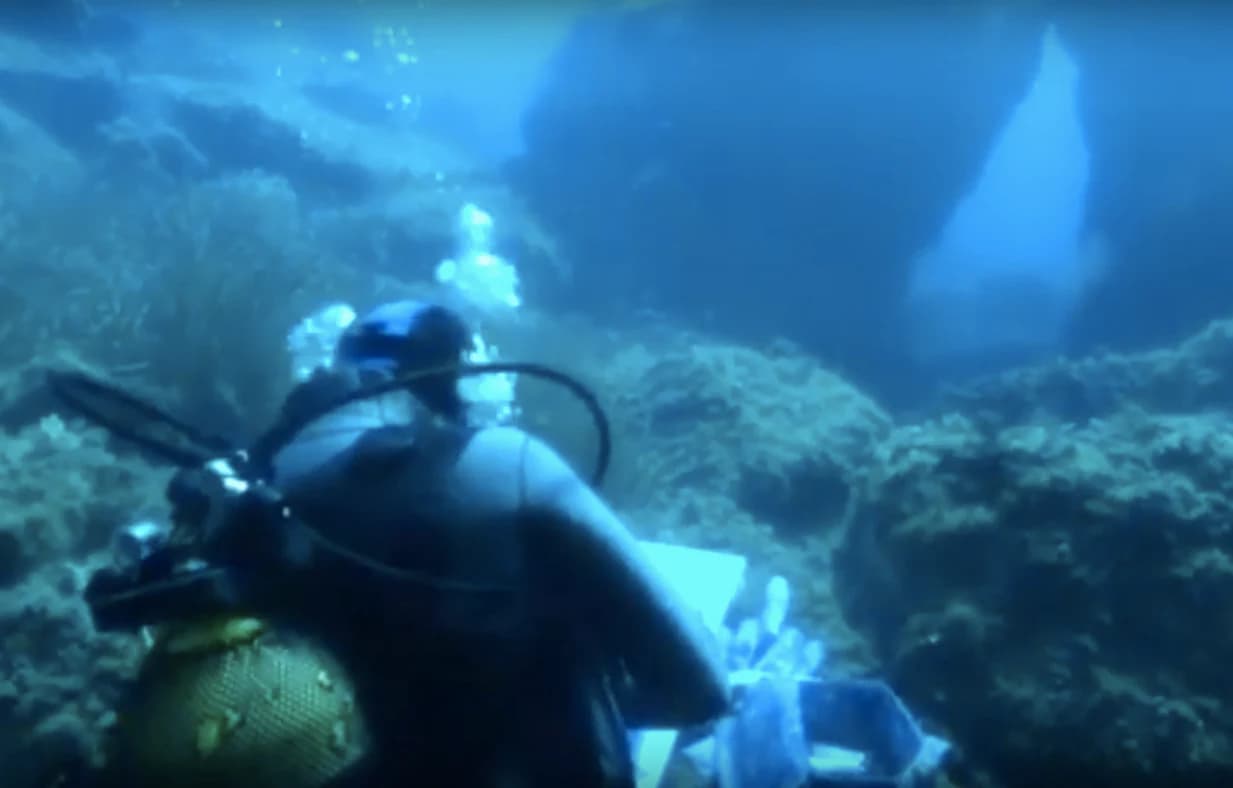 Scuba diver with equipment swimming underwater near rocky seabed with marine life