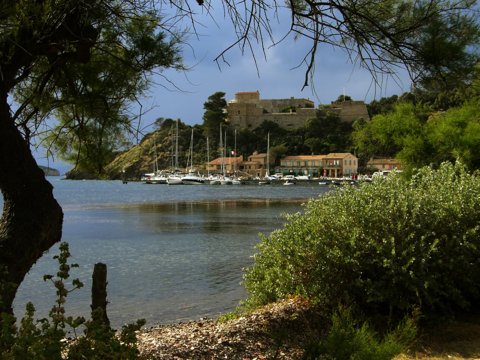 Coastal harbor scene with sailboats in calm water, buildings on a hill, and vegetation in foreground