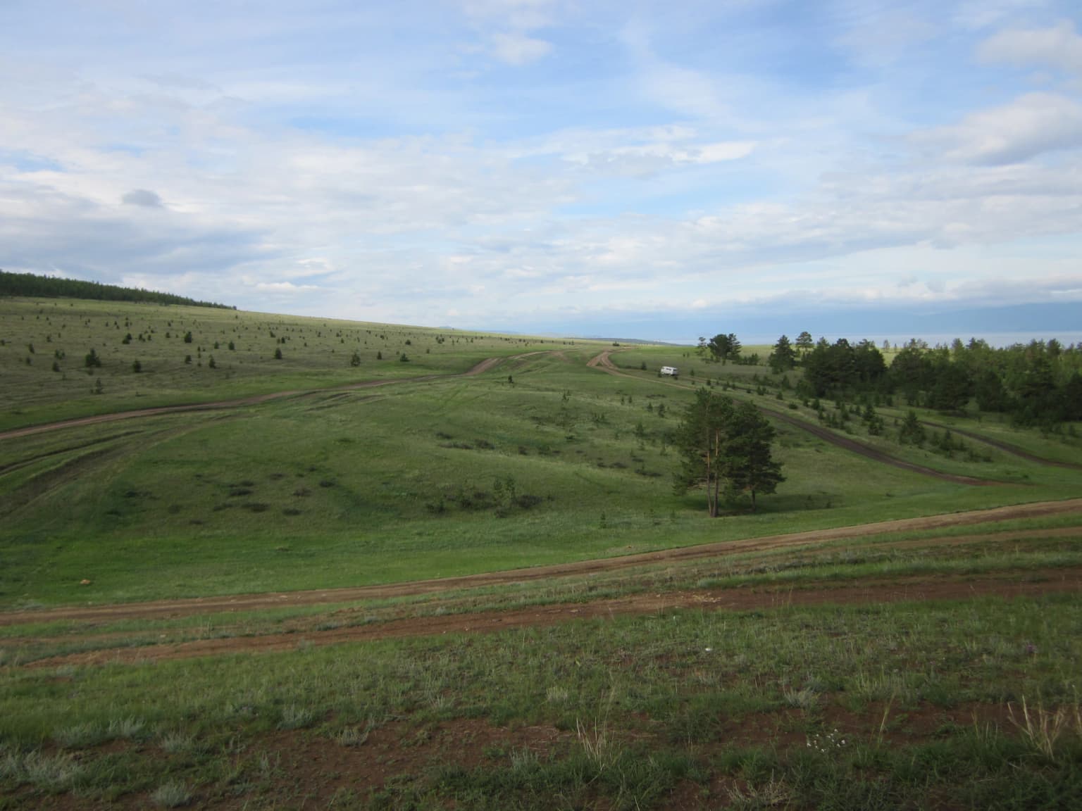 Grassy hills with dirt roads and scattered trees under a partly cloudy sky