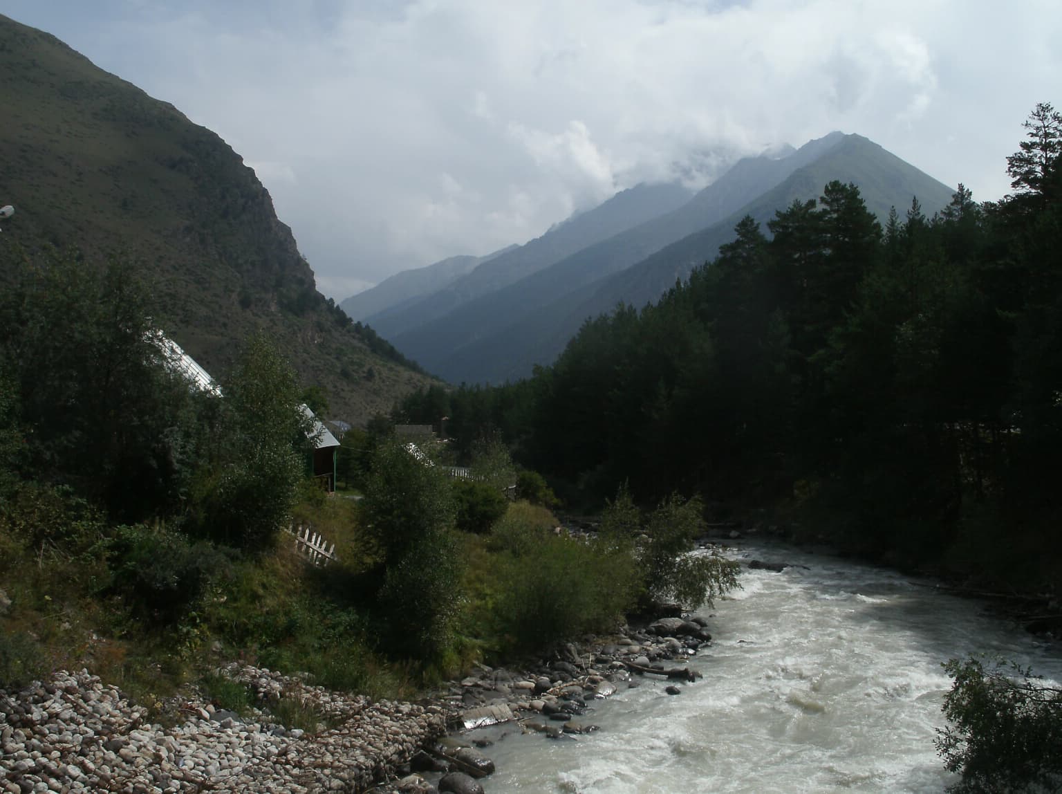 Mountain river flowing through forested valley with rocky riverbank and distant peaks