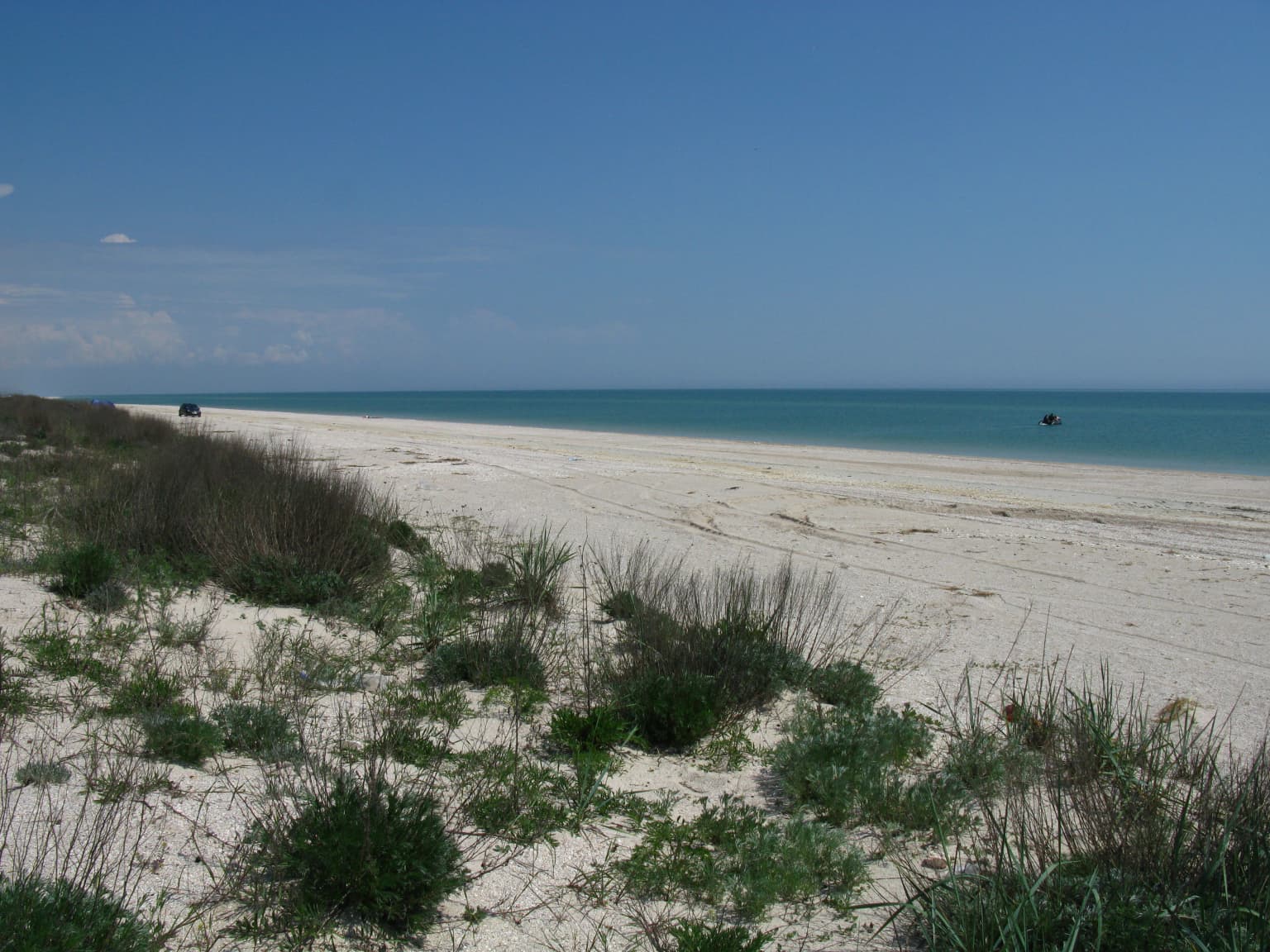 Sandy beach with sparse coastal vegetation under clear blue sky with sea in background