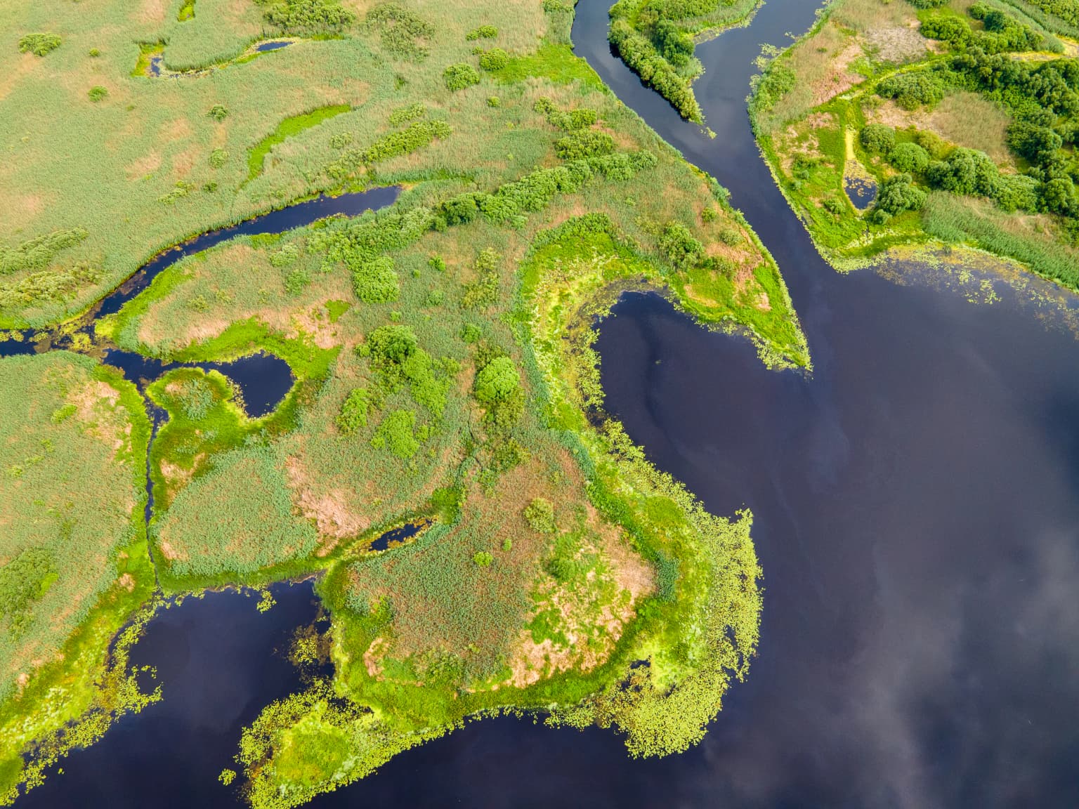 Aerial photograph of a wetland landscape with winding rivers, green meadows, and patches of vegetation in Ukraine's Prypiat-Stokhid National Nature Park