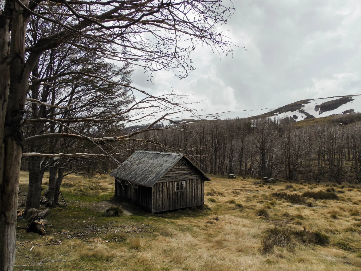 Pequeña cabaña de madera en un campo de hierba con árboles sin hojas a la izquierda, montañas nevadas al fondo, cielo cubierto.