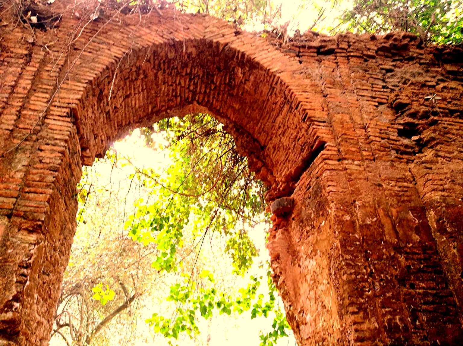 Ruinas de un arco de ladrillo con follaje verde visible a través del arco