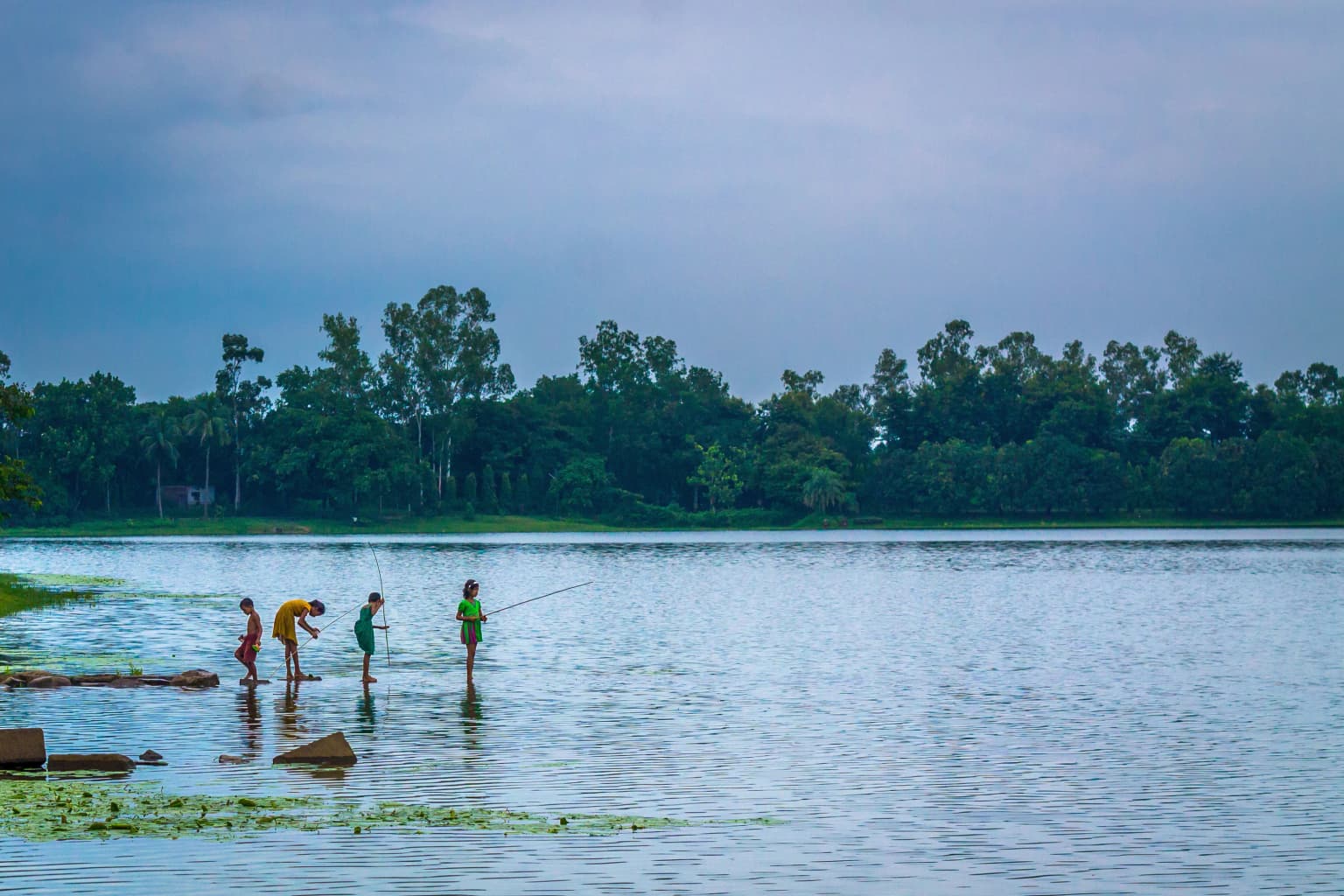 Cuatro personas pescando en aguas poco profundas en el Parque Nacional Ramsagar con árboles al fondo.