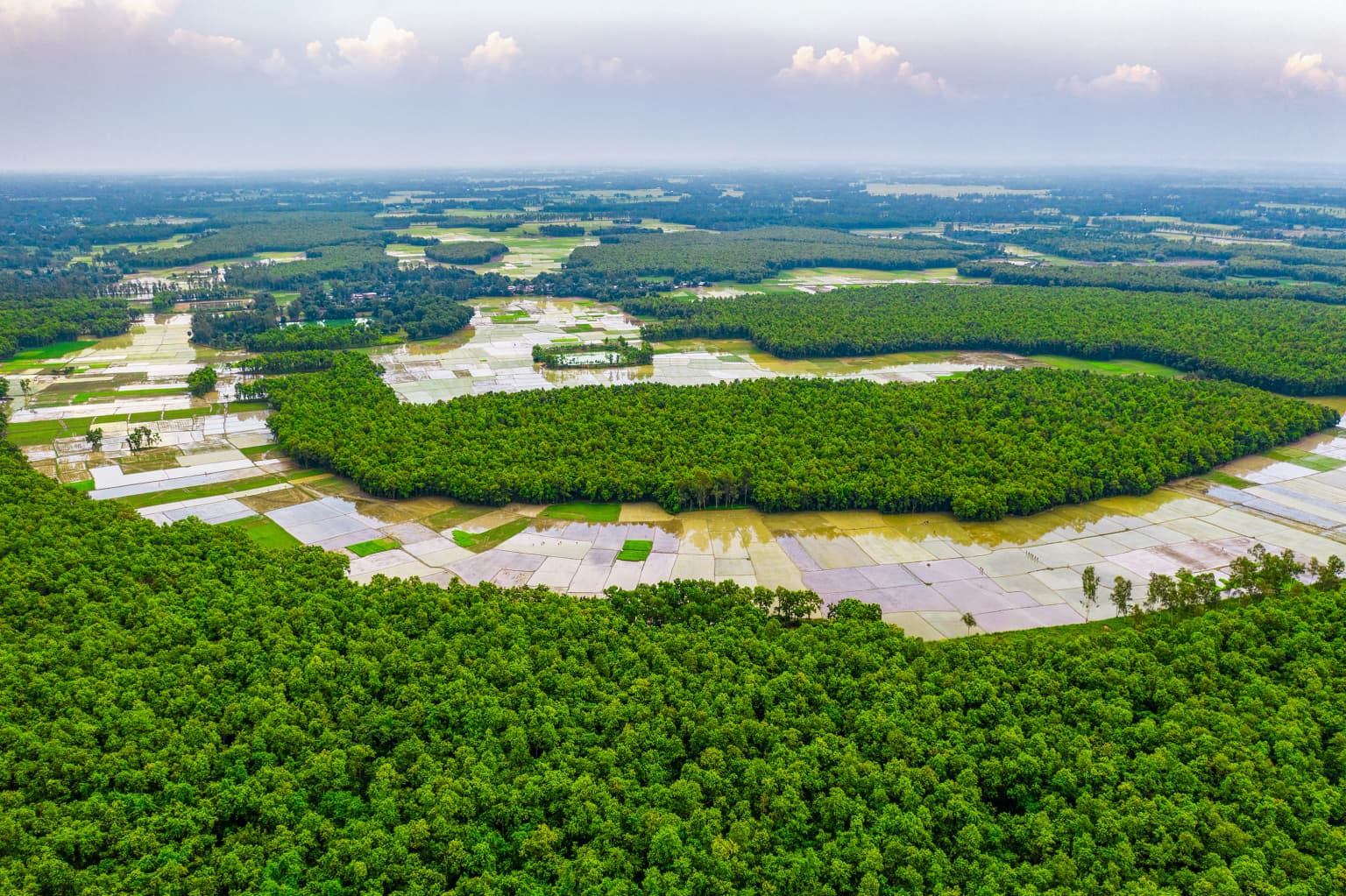 Vista aérea de un gran embalse de agua rodeado de densos bosques verdes y campos agrícolas bajo un cielo parcialmente nublado.