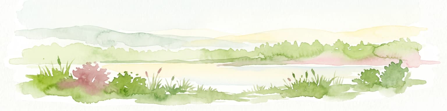 A horizontal watercolor illustration depicting a calm lake with marshy shores, reeds, and distant low hills.