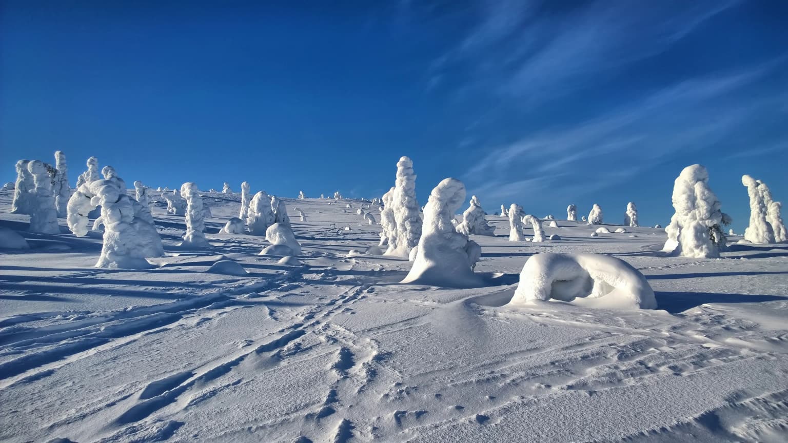 Snow-covered terrain with frost-laden trees under a clear blue sky