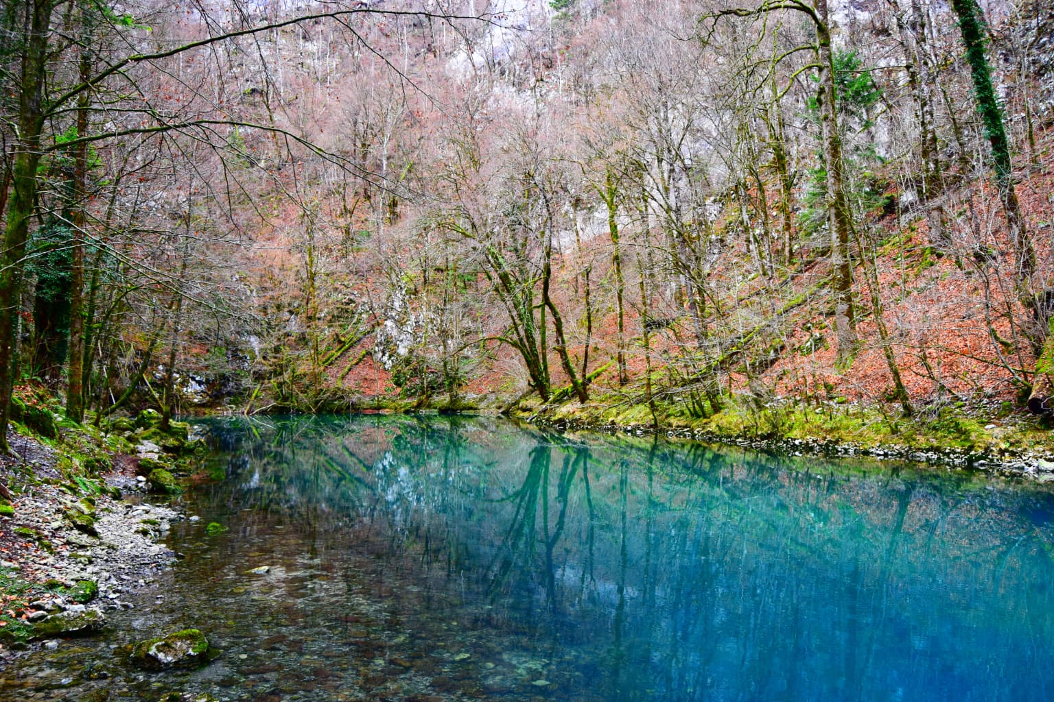 A clear blue river flowing through a forested area with bare trees and autumn-colored foliage