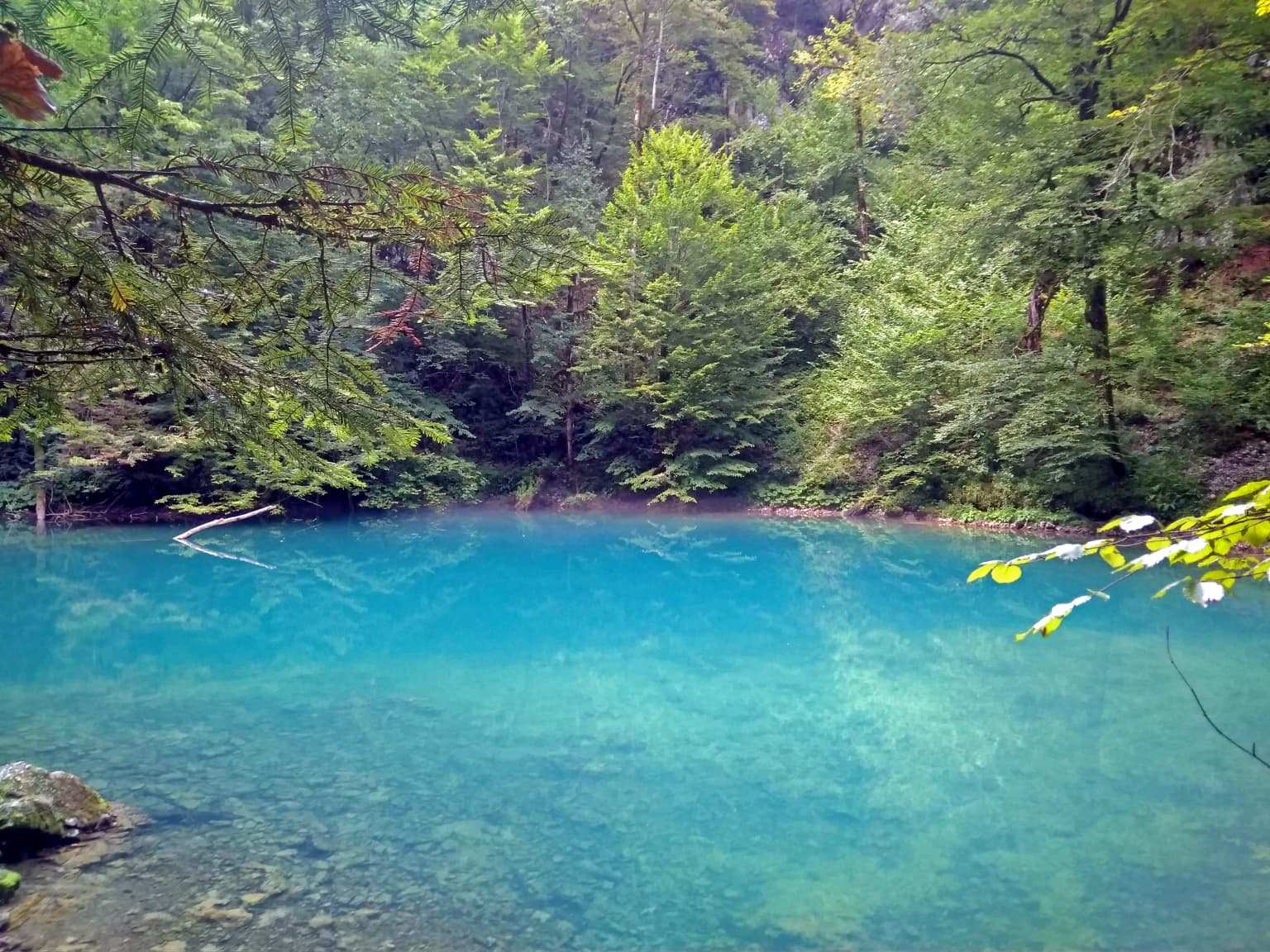 Clear blue body of water surrounded by dense green forest with visible rocks along the shore