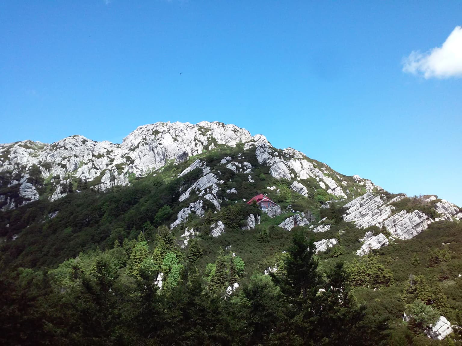 Rocky mountain peak with dense forest under clear blue sky