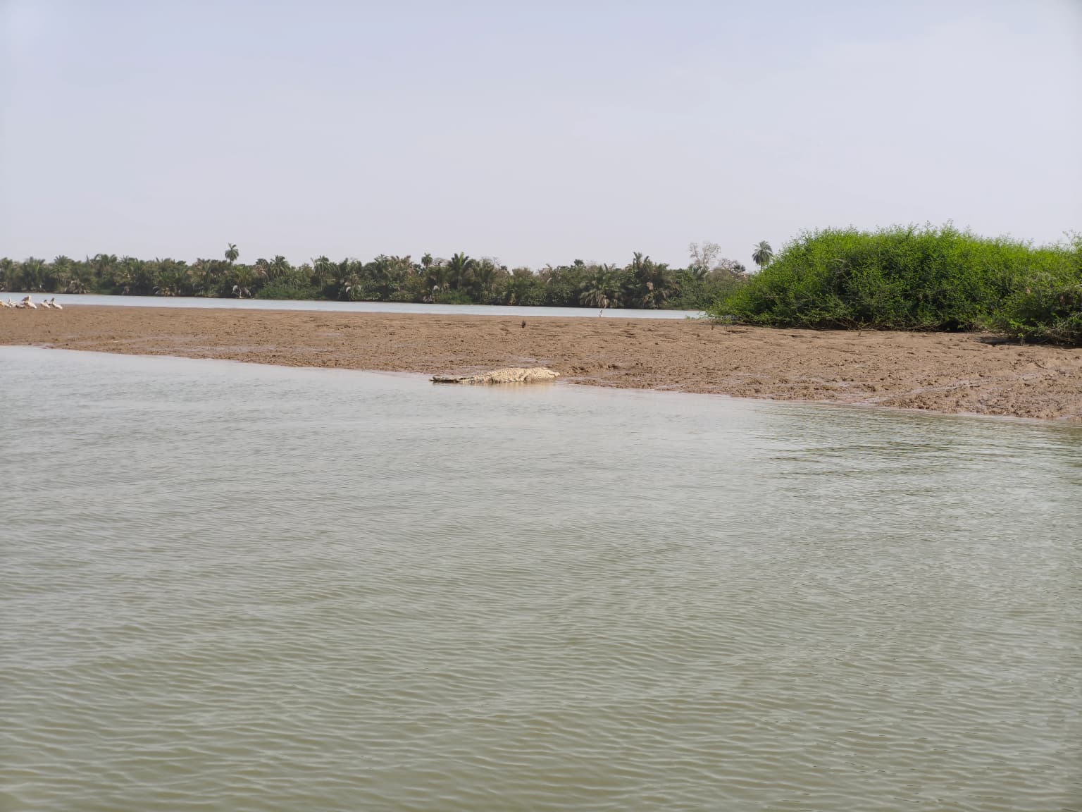 Calm river with sandy shoreline, vegetation on the right side, and trees in the background under clear sky