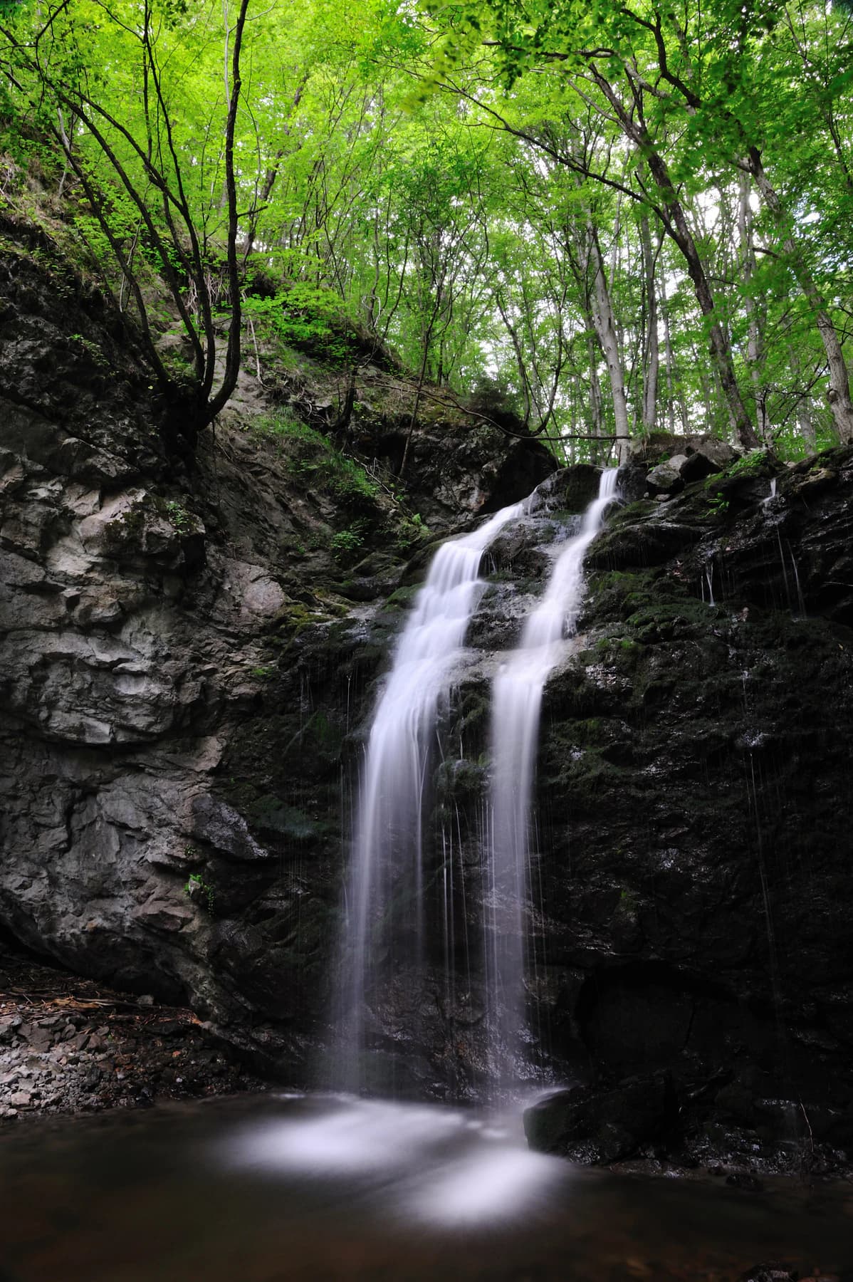 Waterfall flowing over dark rocky cliff face surrounded by lush green trees and vegetation