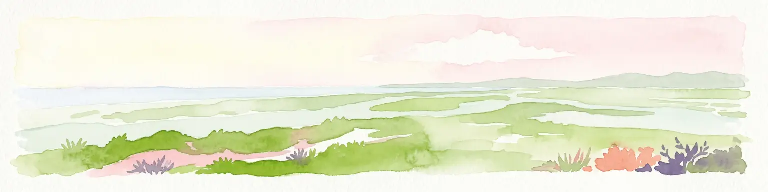 Ilustración en acuarela que representa una vista panorámica de un estuario costero con islas de manglar verdes, canales de marea y un cielo suave de tonos rosados al atardecer.