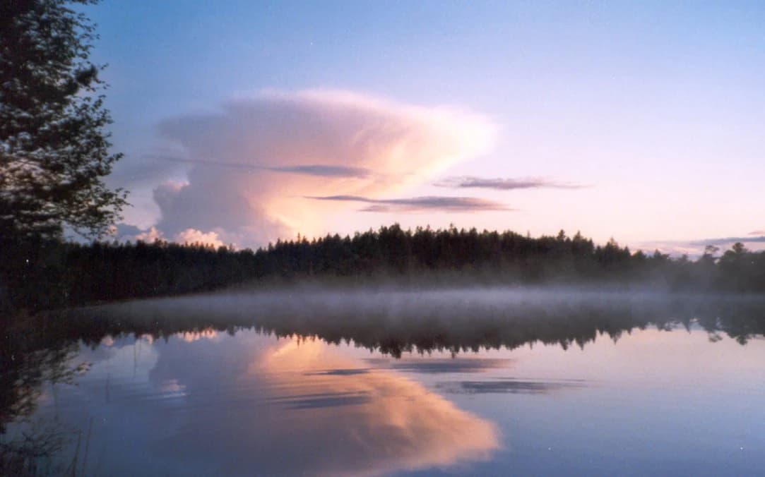 A calm lake reflecting a pink and blue sky with a forested shoreline at dawn or dusk